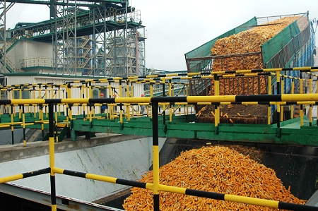 敦煌種業(yè)先鋒良種有限公司酒泉種子加工廠三、四期工程竣工投產