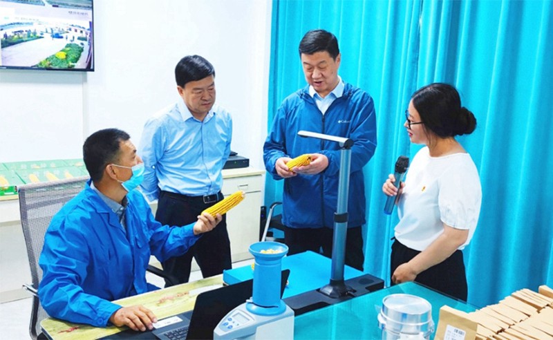 甘肅省地方金融監(jiān)管局、甘肅證監(jiān)局領(lǐng)導(dǎo)蒞臨敦煌種業(yè)調(diào)研指導(dǎo)