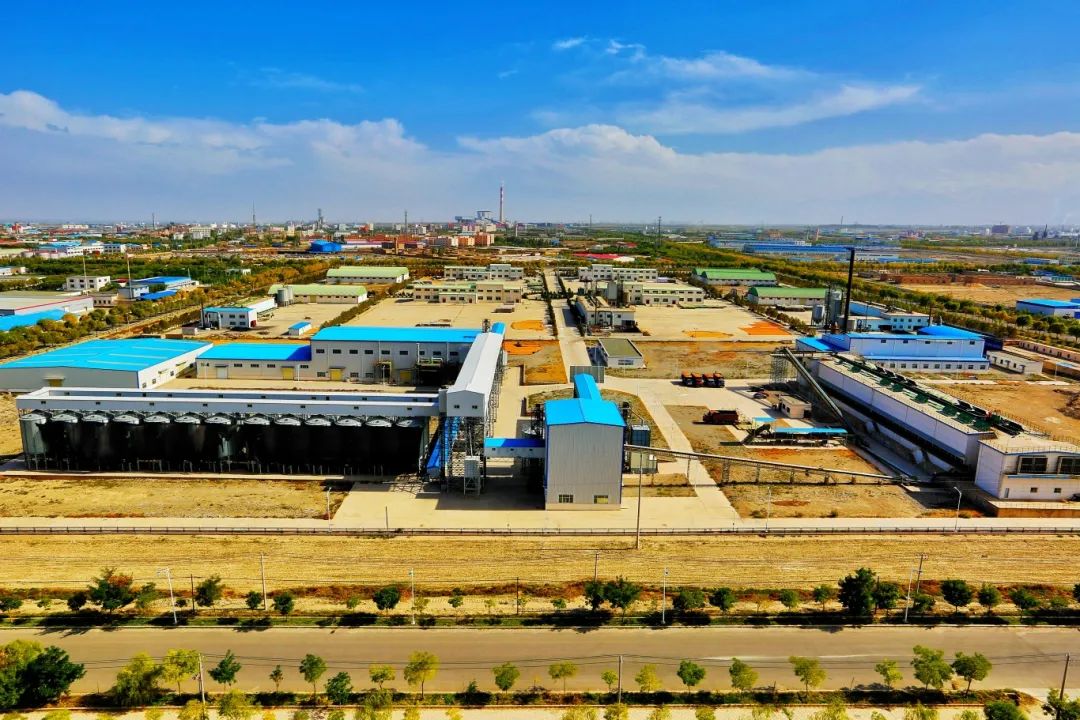 敦煌種業(yè)公司:播撒“希望種” 耕耘“夢(mèng)想田”