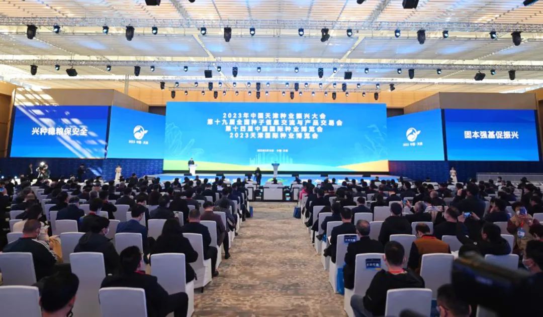 敦煌種業(yè)公司:播撒“希望種” 耕耘“夢(mèng)想田”