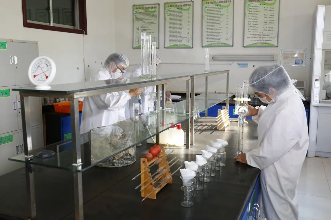 敦煌種業(yè)公司:播撒“希望種” 耕耘“夢(mèng)想田”